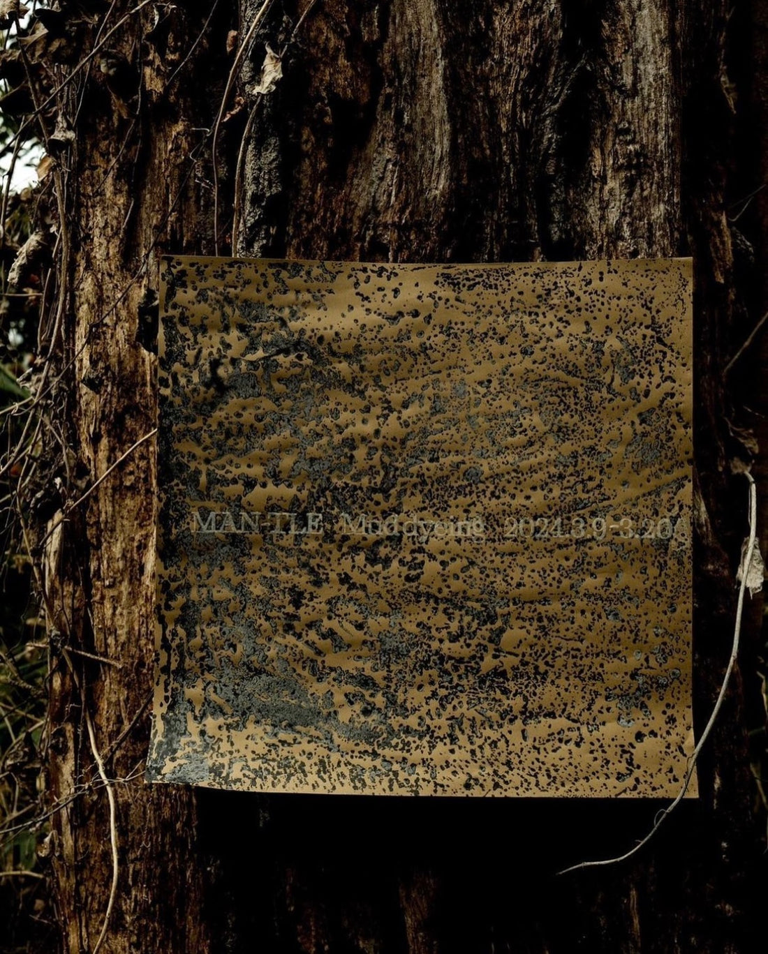 MAN-TLE Mud dyeing