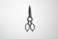 多鹿治夫鋏製作所 TAjiKA KITCHEN SHEARS Separate